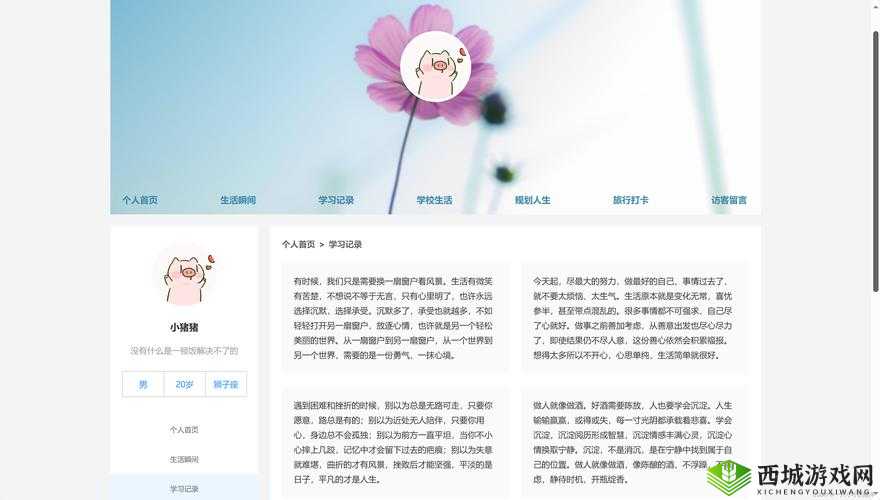 JSP 成品网站附加更多节目内容丰富拓展