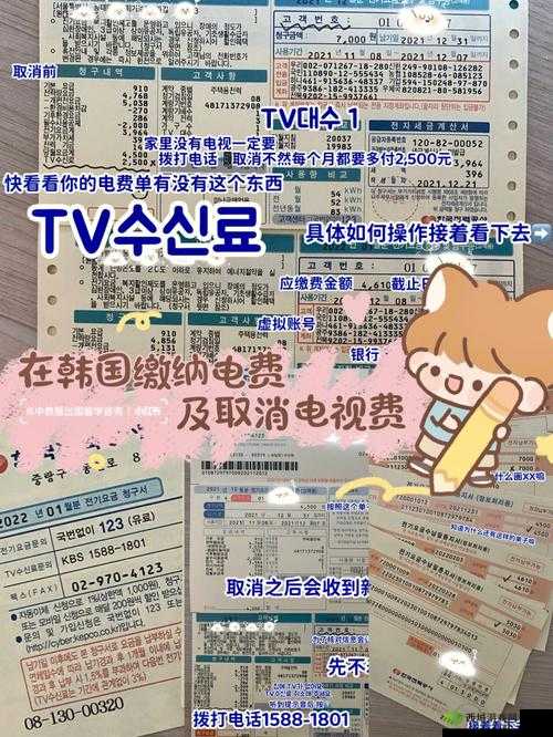 韩国三色电费 202 相关解读及影响