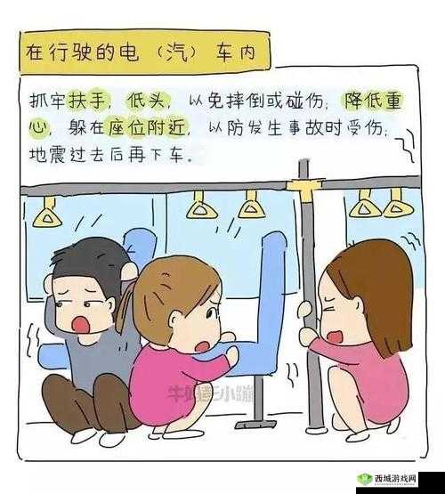 野外车里地震视频播放指南