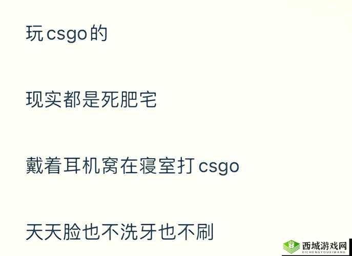 老阿姨在CSGO中的经典比赛：令人惊叹的精彩瞬间与策略分析