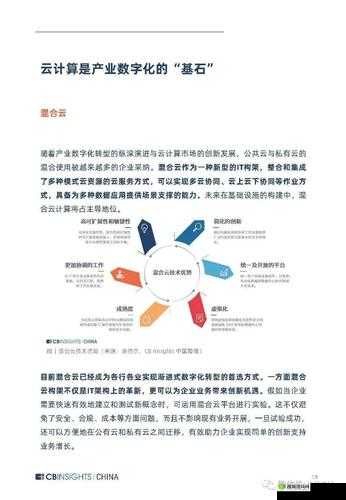 Vue 成熟 40 岁：探索中年阶段的技术发展与未来走向