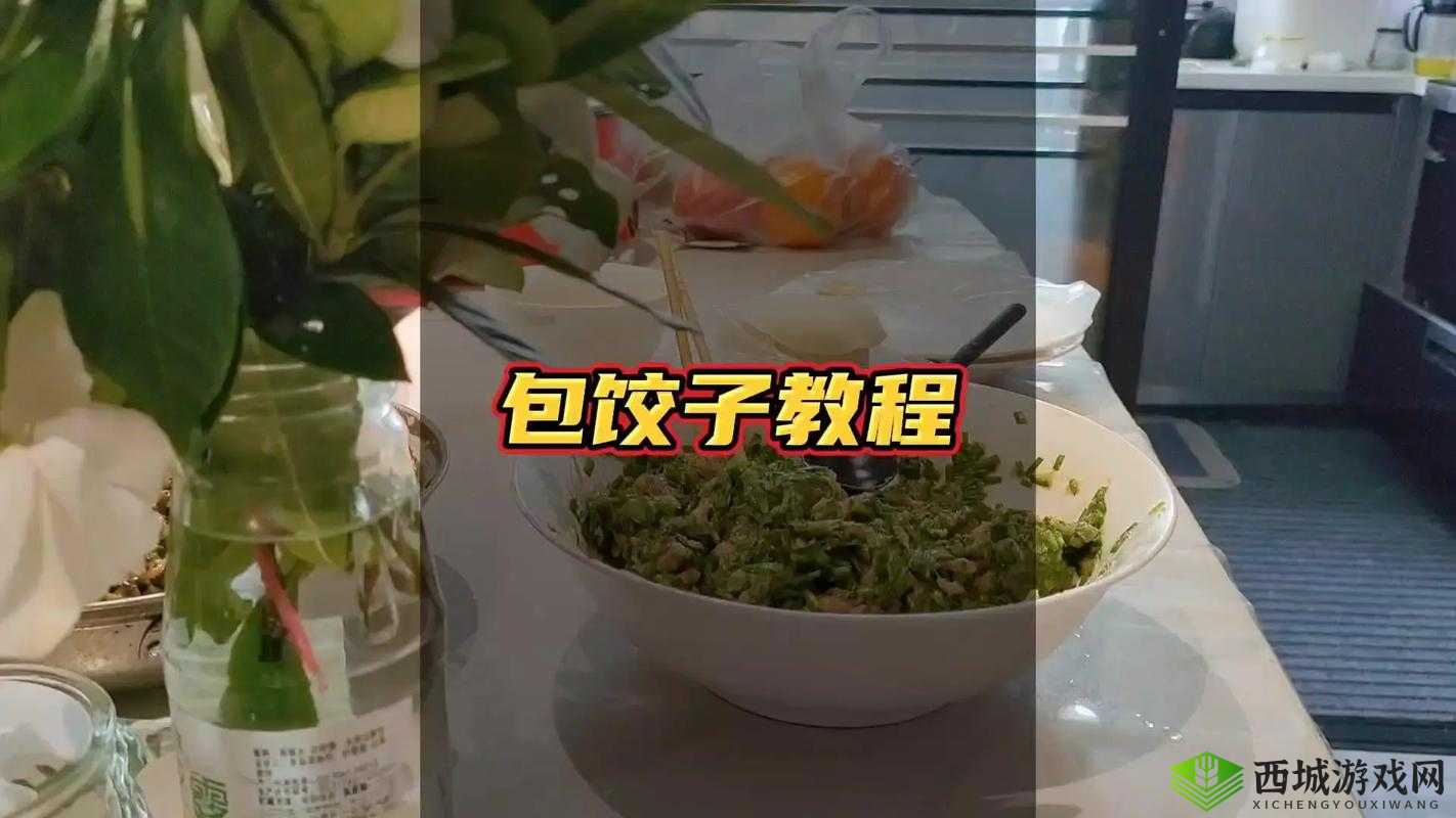 授课方式 BY 肉馅小水饺视频：教你轻松学会包饺子