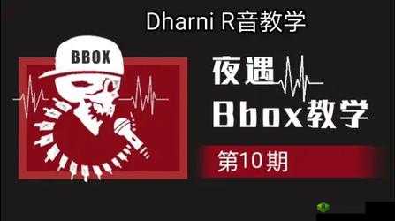 BBOX 入门 BASS：探索节奏的奥秘