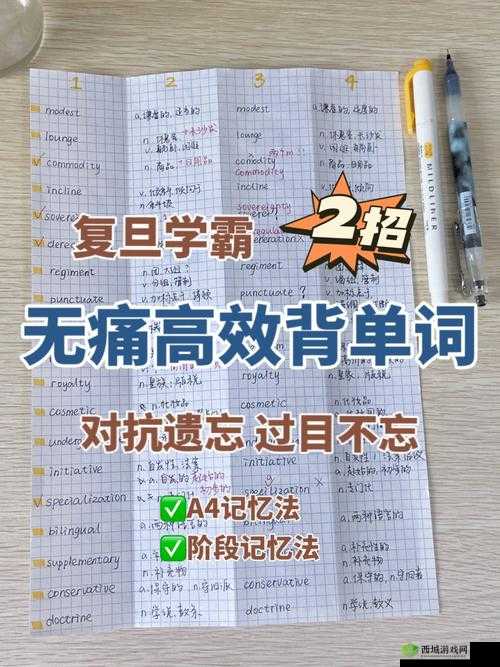 坐在爸爸的大紫根上背单词：一段独特的学习经历