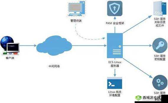 大肥胖VPSWINDOWS：一款独特的虚拟专用服务器系统