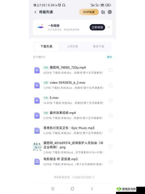 zhangjinyu 视频网盘：超多精彩视频资源等你来探索