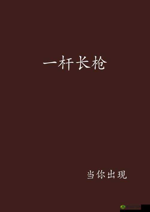 一杆长枪直入两扇门义勇：探寻背后的深刻含义与故事