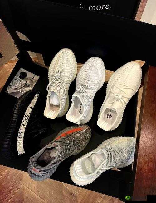 国产 Yeezy 451：引领潮流的独特鞋款