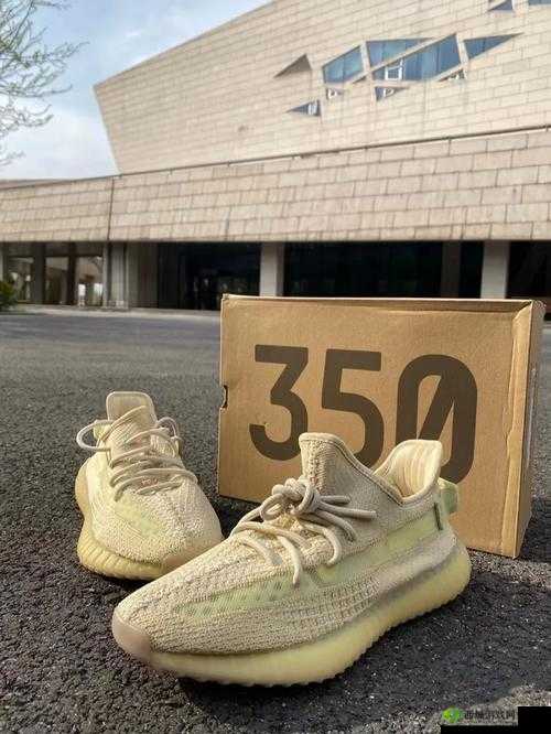 Yeezy 亚洲限定美洲限定：时尚潮鞋的魅力碰撞与独特风采