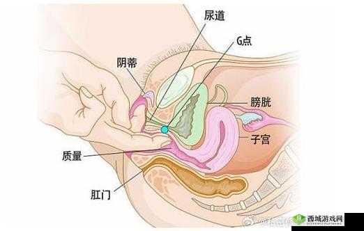 大荫蒂 BB BBBBB 大荫蒂：探索未知的奇妙世界