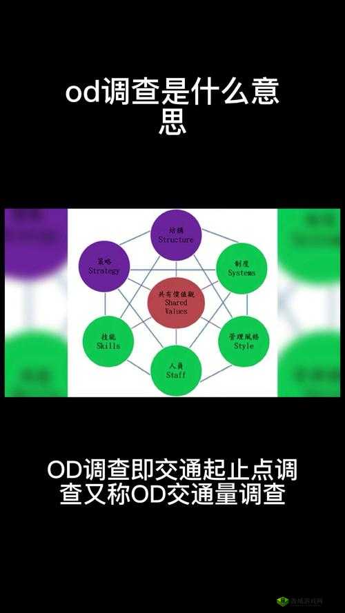 od 是什么意思？它在不同领域有不同的含义