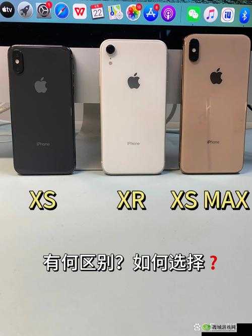 欧美 iPhone XS Max：科技与时尚的完美融合