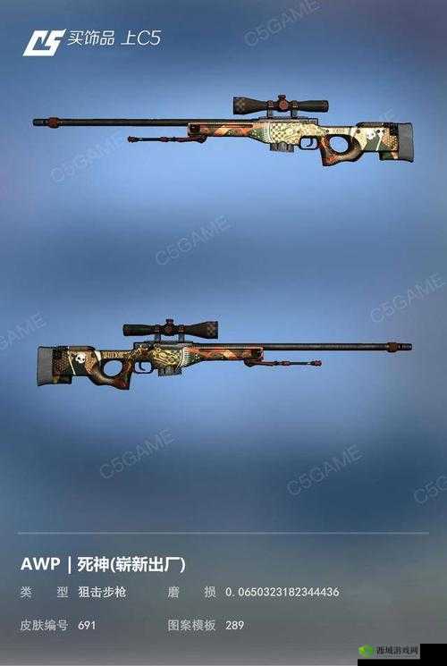 日本 CSGO 大姐姐 AWP 多少钱：价格背后的秘密与影响