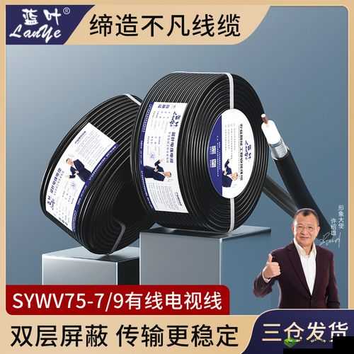 有线高清电视线 SYWV75：优质传输性能与广泛应用解析