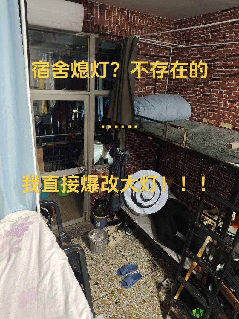 506 寝室的灯灭了以后第 9 部分之相关内容探讨与分析