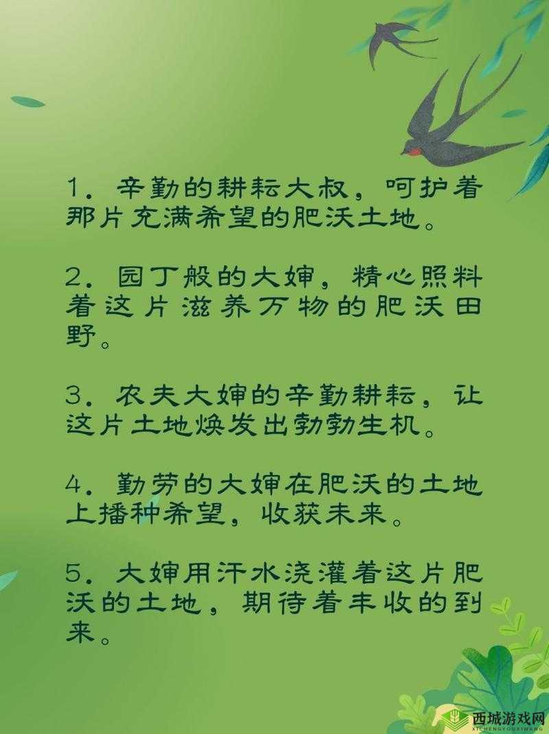 耕耘大婶的肥沃的土地：辛勤耕耘终会收获满满硕果