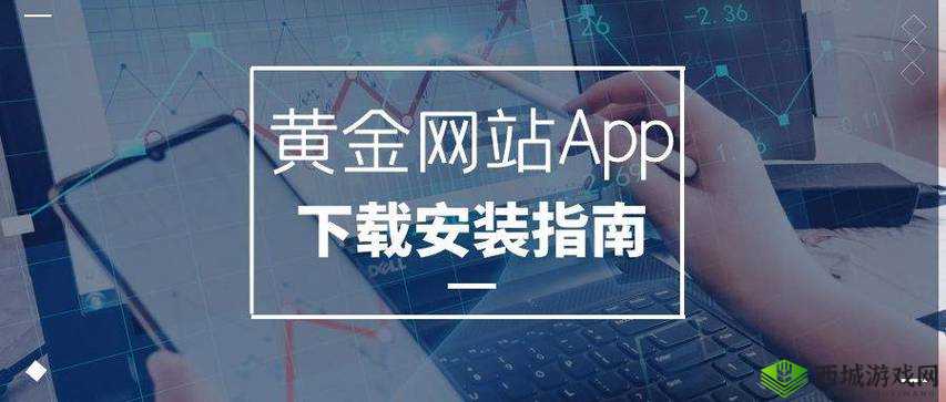 黄金网站 APP 视频播放画质选择：畅享高清与流畅画质的自由切换