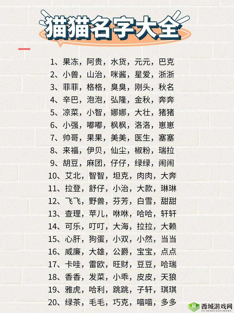 猫咪的永久地域网名是什么——探寻其独特魅力所在