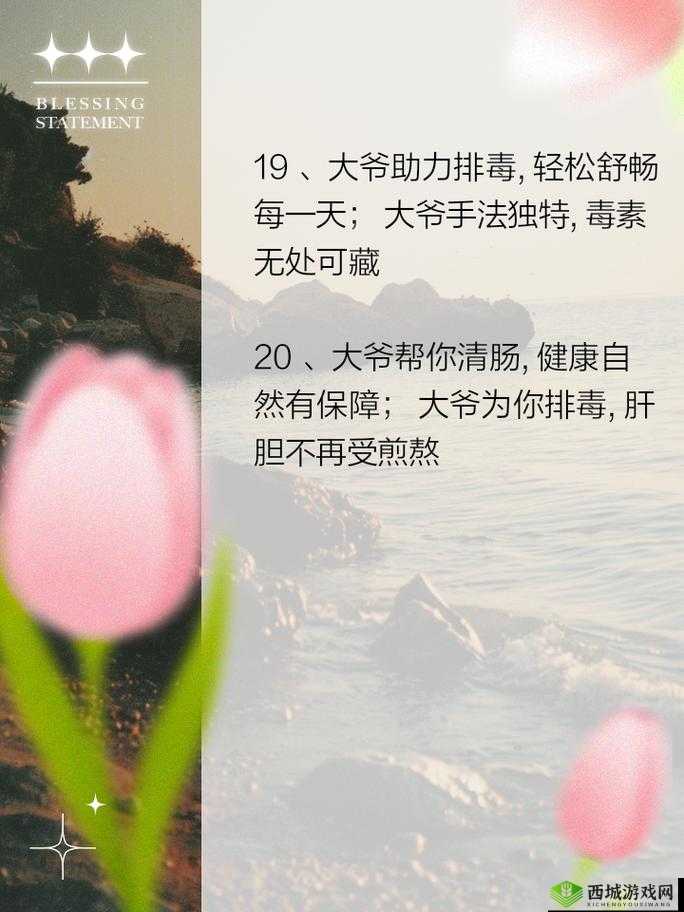 大爷是在帮你排毒小说：一段令人匪夷所思的排毒之旅