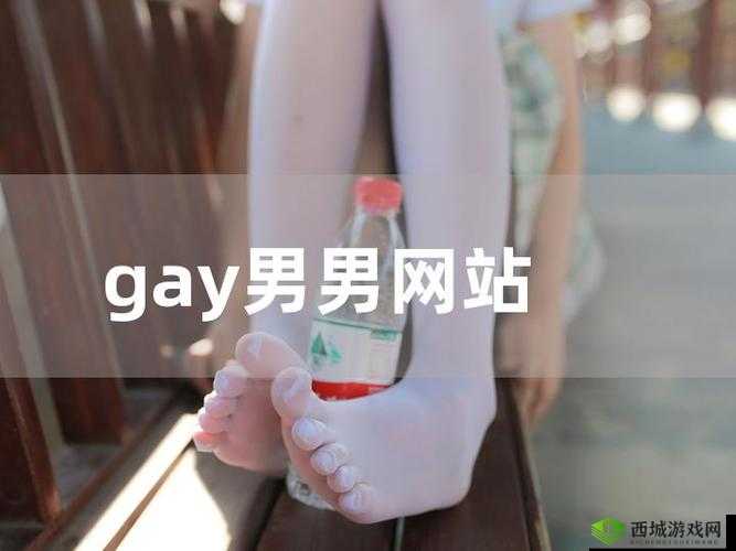 Chinese 麻豆 Gay 勾外卖引发的别样关注与思考