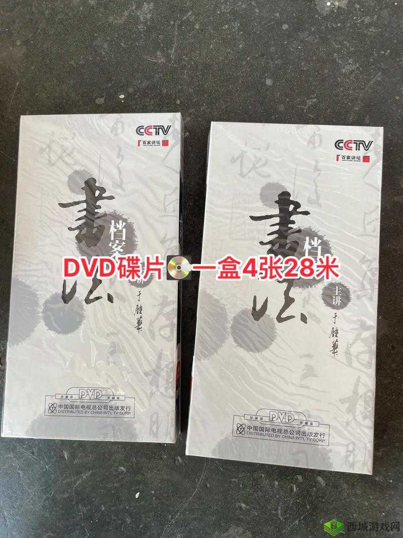 高清 DVD 碟片生活片：记录生活点滴的精彩呈现