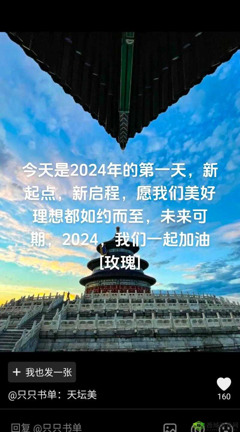 国产矿转码专一 2024：技术创新与应用的新起点