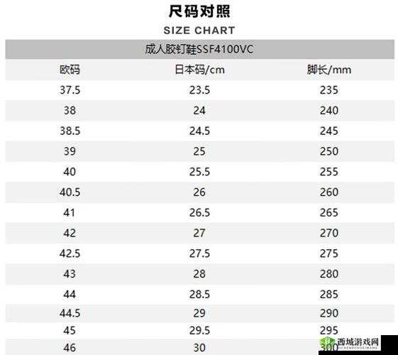 欧洲尺码日本尺码专线不卡顿：畅享丝滑购物体验新通道