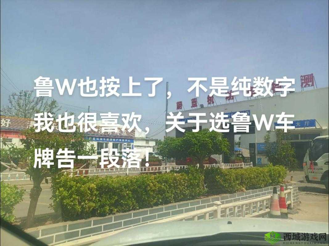 939W68W78W：探索未知领域的神秘数字组合