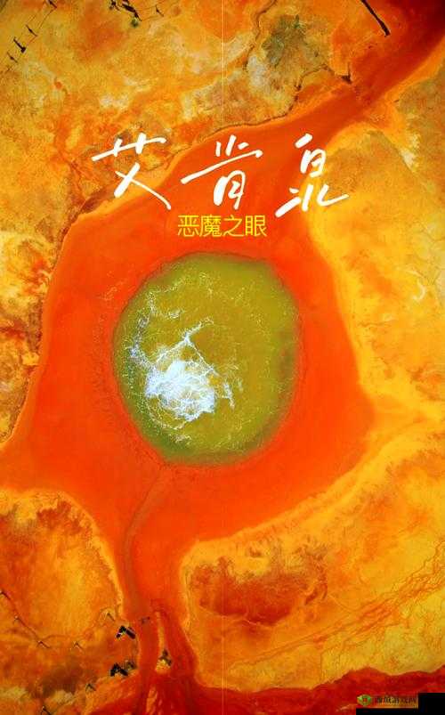 nsps537 在线：探索未知领域的神秘之旅开启