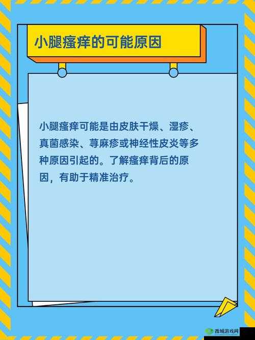 50 岁淑芬两腿间又痒了：探寻原因与解决方案