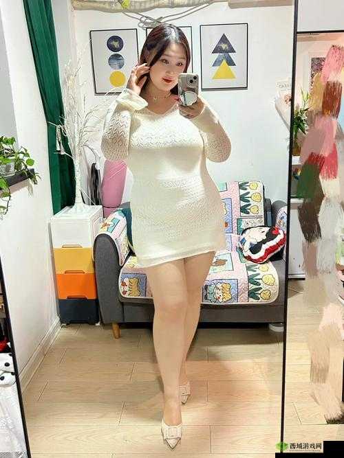 大肥女BBW：关于其独特魅力与生活故事的探讨