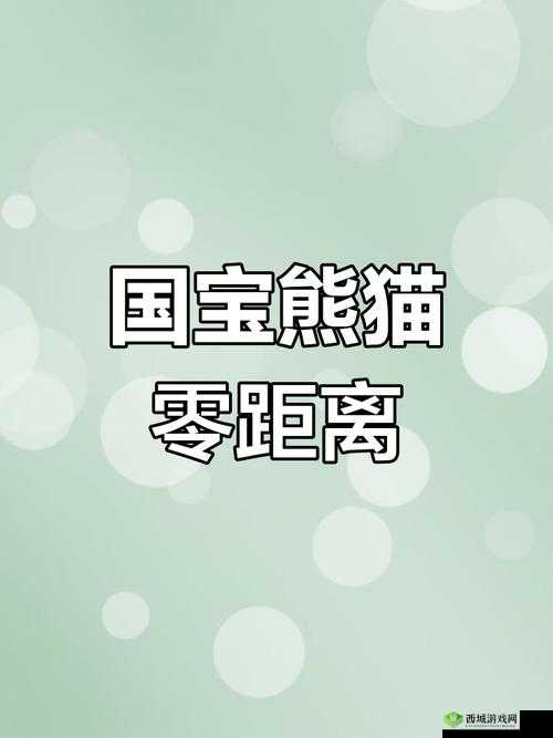 男生和女生一起差差很痛 APP 大全熊猫：探索未知的奇妙世界