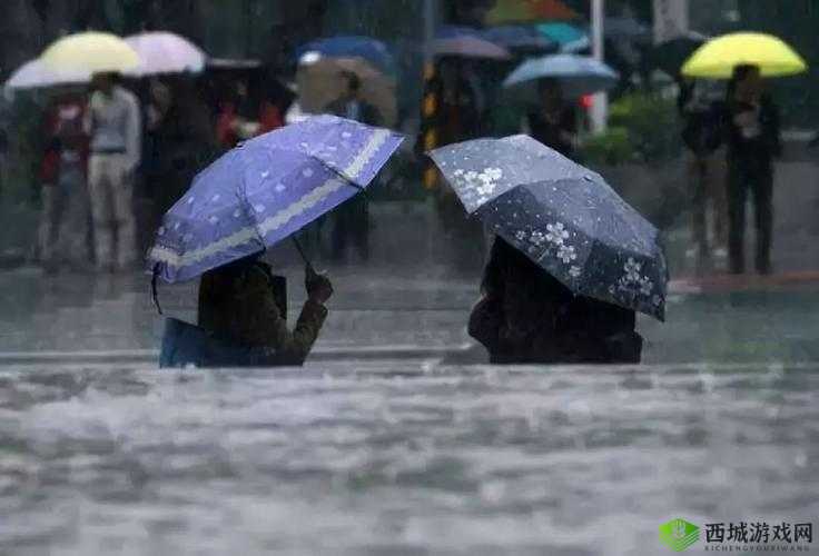 暴雨天被困在公司的女职员该如何回家