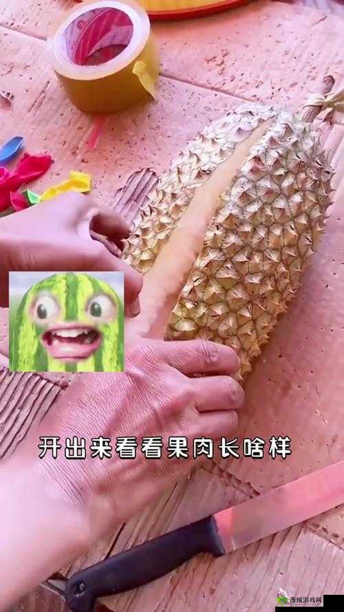 丝瓜茄子与榴莲樱桃的奇妙组合