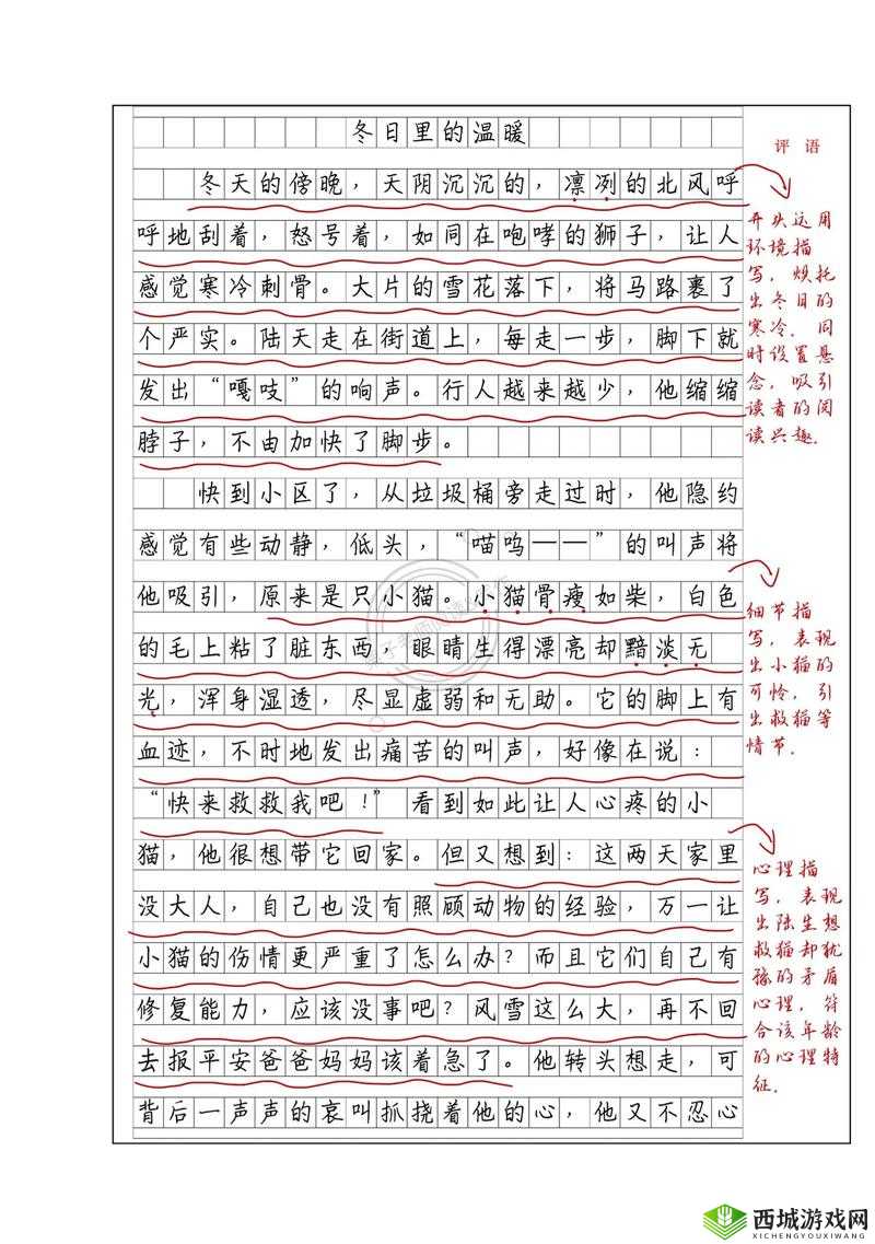 以 xxxbbbb 为中心展开的精彩故事探讨