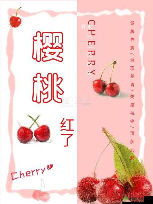 樱桃 cherry 官网：畅享樱桃之美与精彩体验