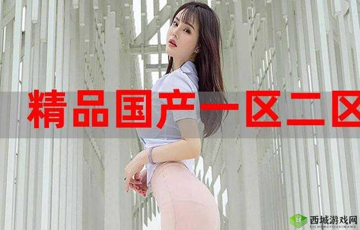 国精产品 自偷自偷：一场引人深思的文化现象