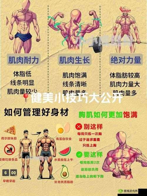 中国惊奇先生游戏中健身系统玩法全面剖析与深度解读