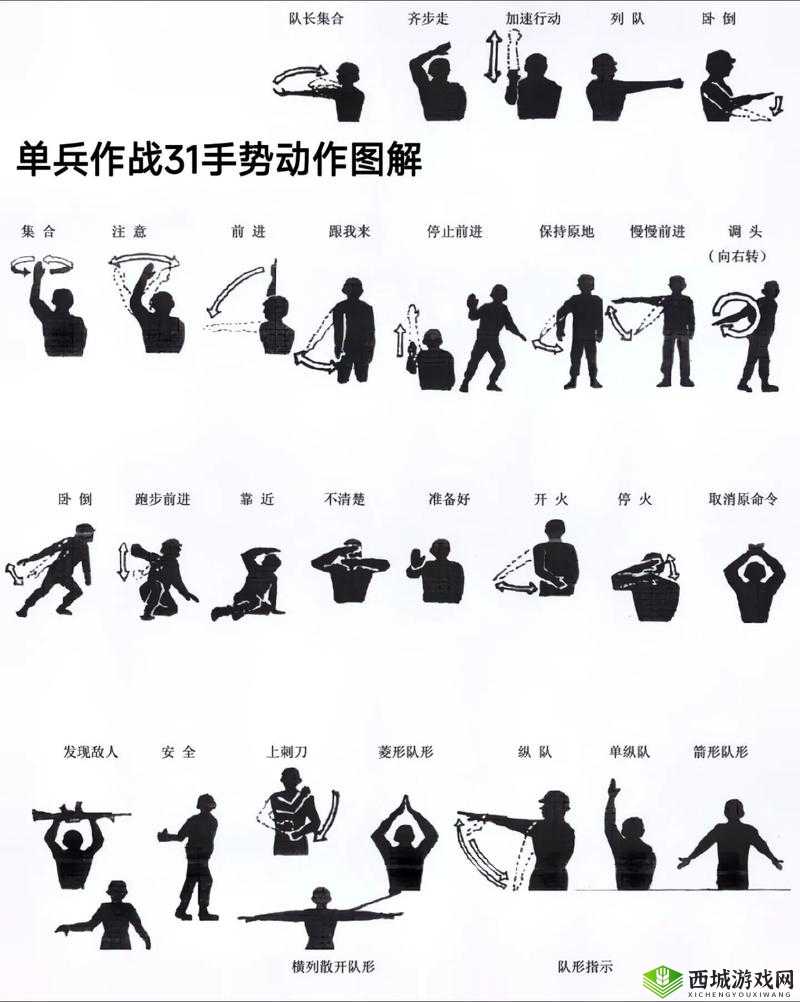 光荣使命初级士兵必备，掌握核心战术要点，有效规避盲目打野行为指南