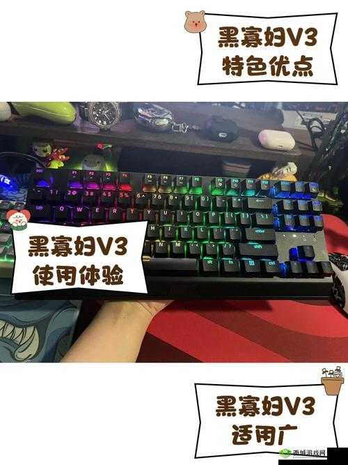 黑寡妇 v3 无线多少入手合适：不同渠道价格对比与分析