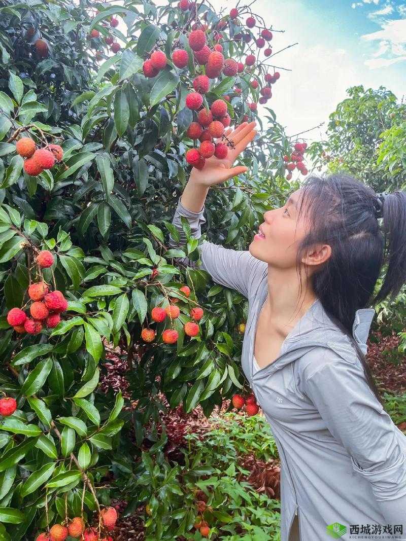 荔枝视频在线观看视频在线播放：海量精彩视频等你来欣赏