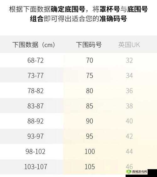 亚码 L 跟欧码 L 区别在哪之详细解析与对比分析