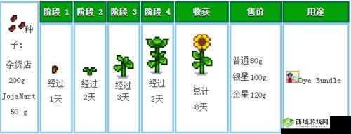 悠长假期中如何获取向日葵种子？获取方式全面介绍