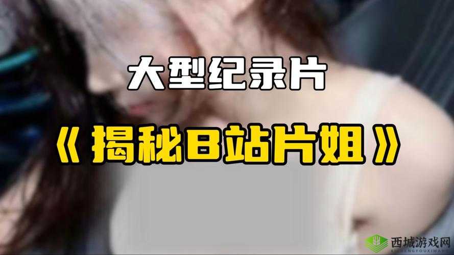 少女 B 站哔哩视频播放量为何如此惊人？探秘背后原因大揭秘