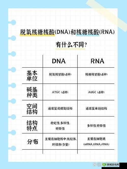 为什么日本妈妈 DNA 和儿子 DNA 会有区别？专家解读背后的奥秘