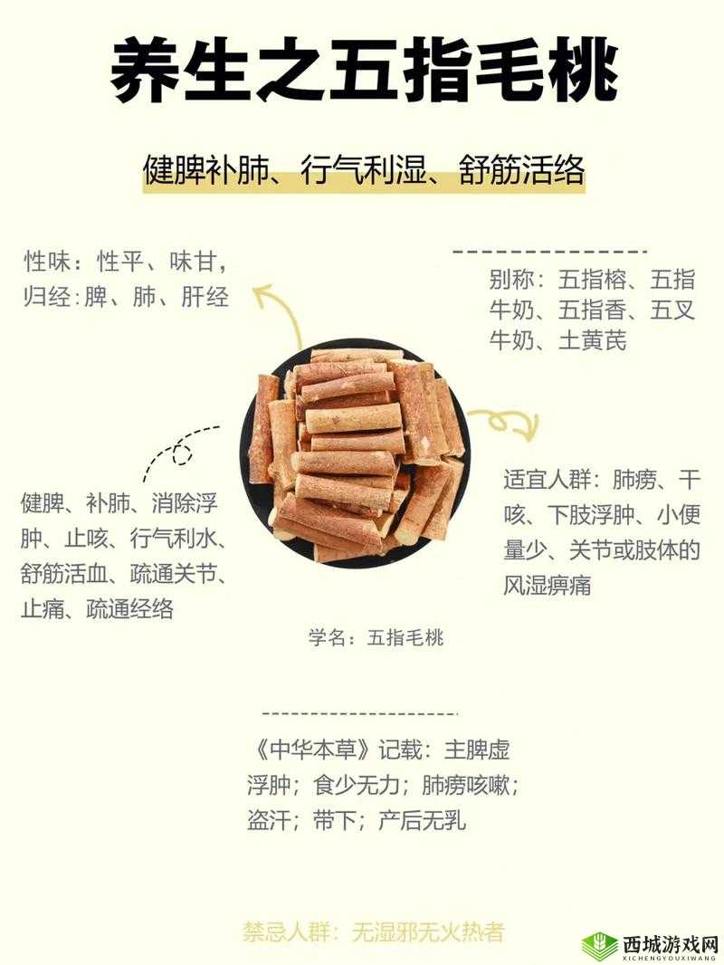 五指毛桃对男人究竟有哪些功效与作用？一文详解男人必知的五指毛桃好处