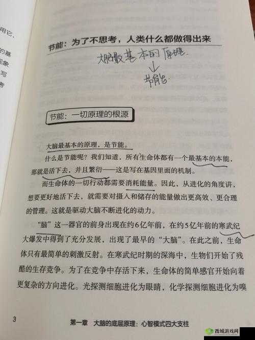 脑洞大侦探找隐藏第二关怎么过？揭秘底层逻辑与操作映射的深度攻略