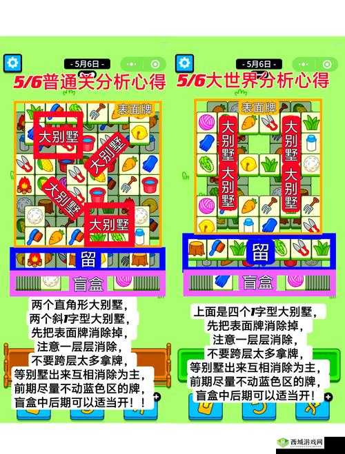 动物安排员第8关如何三星通关？揭秘智慧与策略完美结合的秘籍！